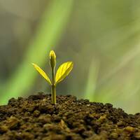 «Один пояс, один путь»: перспективы для экономики Казахстана by BUSINESS FM