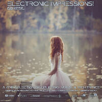 Electronic Impressions 906 with Danny Grunow by Danny Grunow