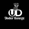 Under Dawgz Studio