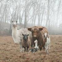 Here And There And In Between by Aunt B