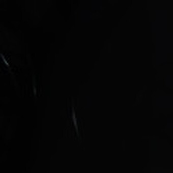 Oli Music Service (OMS)