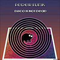 YOU'LL BE IN MY HEART // DISCO IS NOT DEAD EP // SPINCAT RECORDS 2013 by FederFunk
