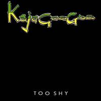 Kajagoogoo - Too shy (Lounge edit) by DJ Pascal Belgium