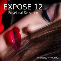 Expose 12 by Svenfoe