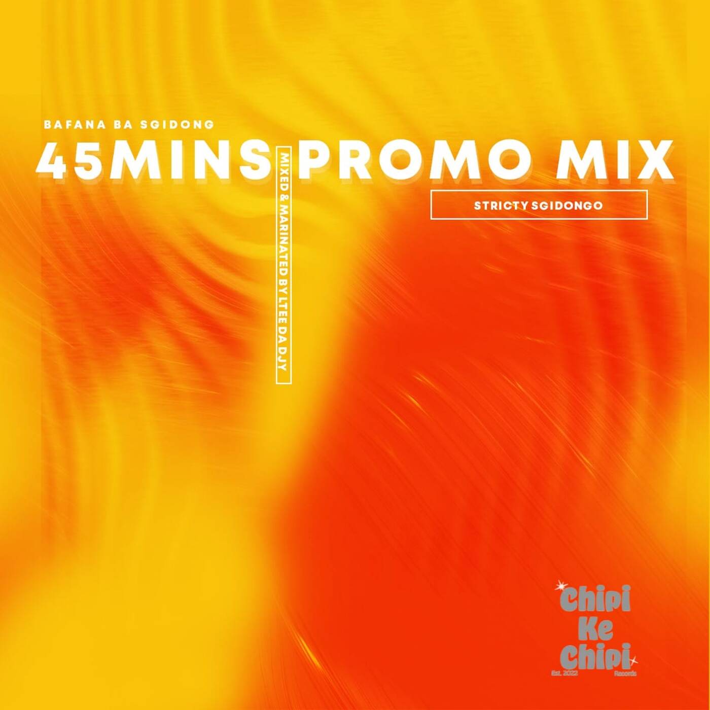 45Mins Promo Mix Mixed by LTee Da Djy episode artwork