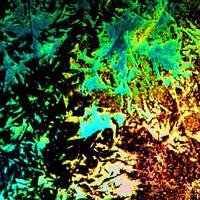 Séquence 3110 by Gérard Delassus