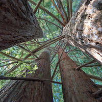 0001 WUWT: Effort by Warriorpoets