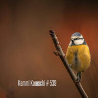 Kemmi Kamachi # 539 by Kemmi Kamachi