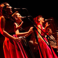 Hot Swing Collective