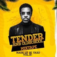TENDER R N B OLD SCHOOL MIXTAPE 2023 (MASH UP MI YARD VOL 15) by Dj Gongzilla