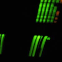 THING CALLED LOVE feat. presence tarika by mancalledclay