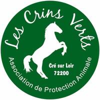 Association Les Crins Verts by Frequence Sillé