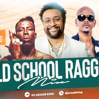 Old School Ragga Raggaton | Ragga Hits | Best Ragga Dancehall | DJ ARAAB KING by Dj Araab King