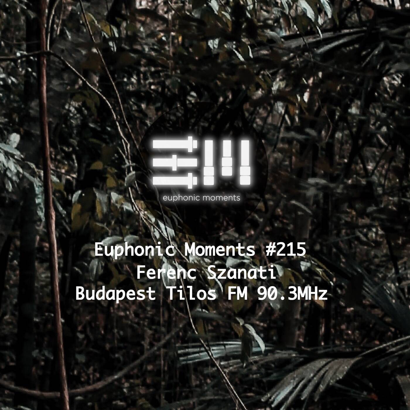Euphonic Moments # 215 Ferenc Szanati Tilos Maraton 2023 episode artwork