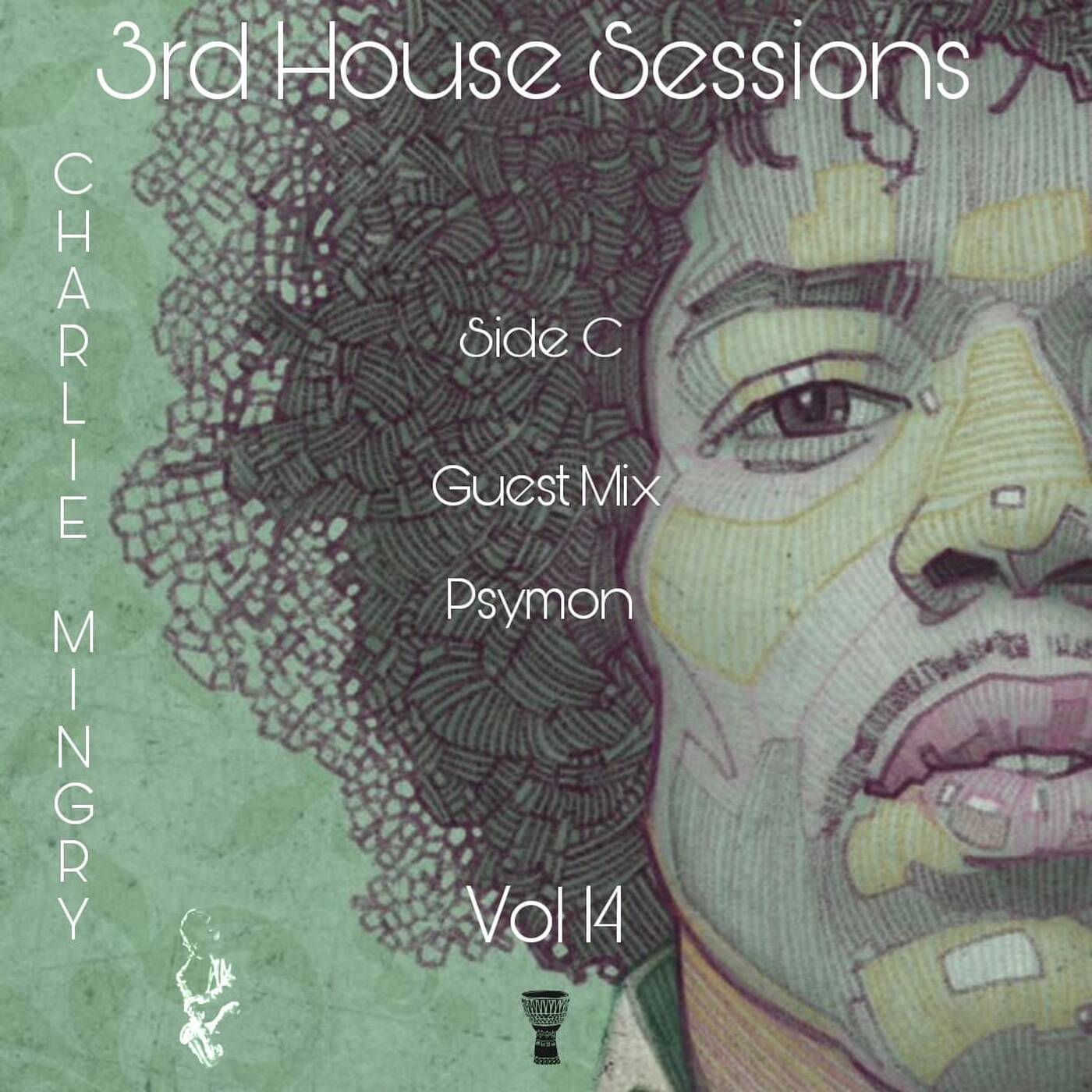 Guest Mix by Psymon Vol. 14C episode artwork