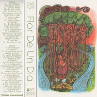 FLOR DE UN DIA by Luke Warmcop