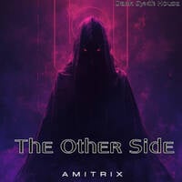 The Other Side (Dark Synth House) by Amitrix