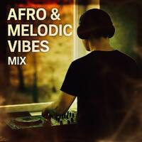 AFRO MELODIC VIBES MIX (Special Edition – Hors-Série) by Afro House Late Evening MIX