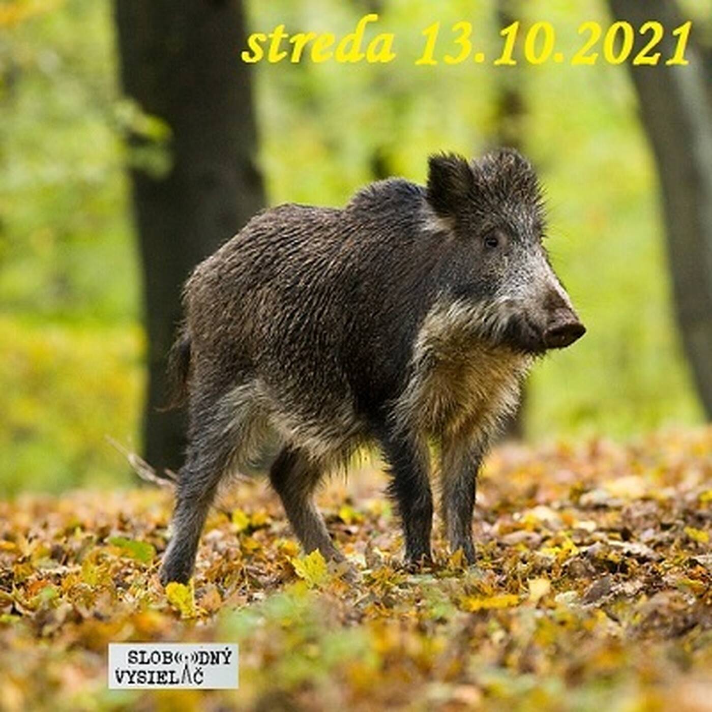 V prvej línii - 2021-10-13 episode artwork