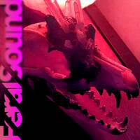 Feral Sound with Fox - 02 Aug 2024 by Sub FM