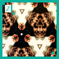 Canadienne mix part 2 (electronica / psychedelic folk / ambient) by Thank You 5 People