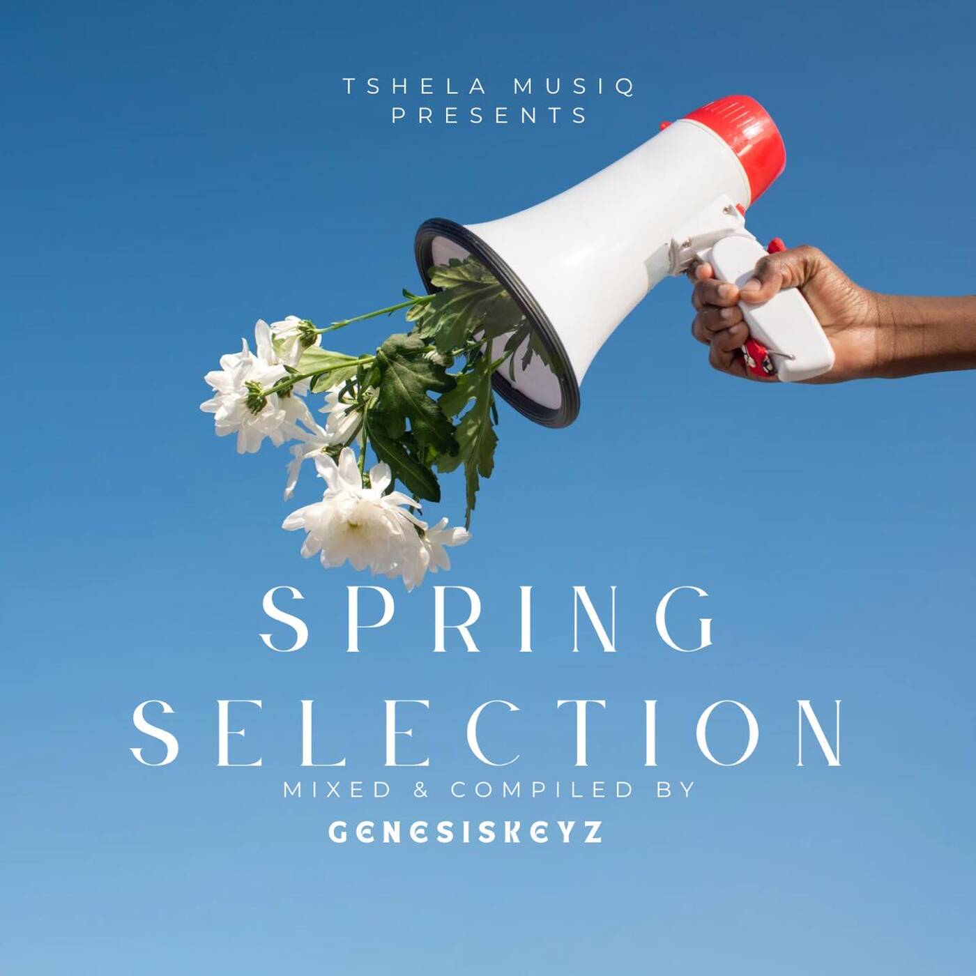 Spring Selection(Mixed & Compiled by GenesisKeyz) episode artwork