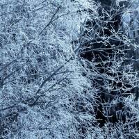 copernicus - highway to house - episode 4 by copernicus