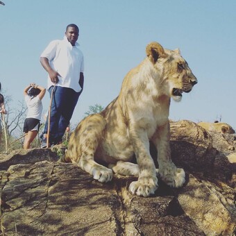 Shingirayi Tk Chichoni