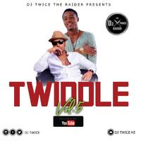 DJ TWICE THE RAIDER TWIDDLE VOL 5 by dj twice