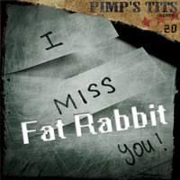 fat rabbit - i miss u (psykoz of mind rework ) pimp's tits records free download by PsYKoZ of MinD Aka KILL MIND (fb: dju mind)