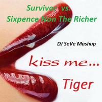 Kiss Me Tiger by DJ SeVe by DJ SeVe