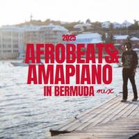 2025 AFROBEATS &amp; AMAPIANO MIX IN BERMUDA [WATCH ON YOUTUBE] by Blaqrose Supreme