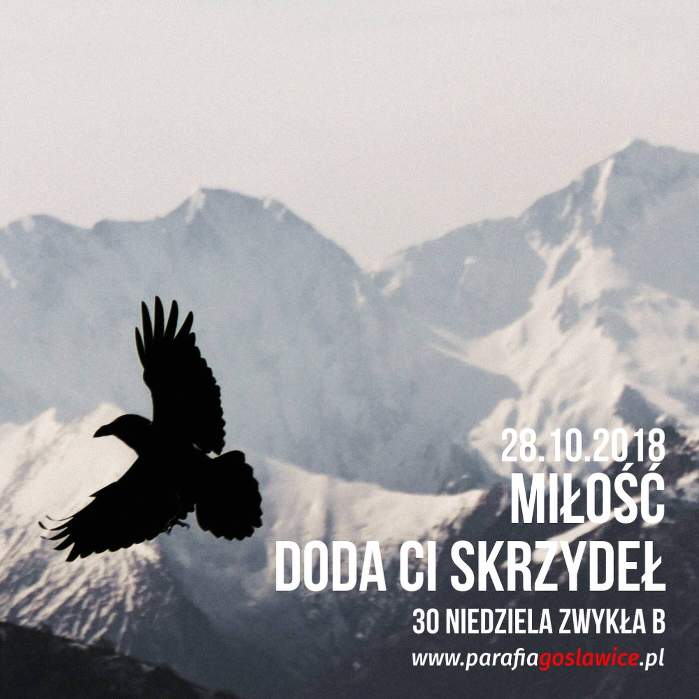 28.10.2018 - Miłość doda Ci skrzydeł - ks. Łukasz Żaba episode artwork