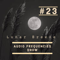 Audio Frequencies Show - Episode #23 [Mixed By Lunar Breeze] by Lunar Breeze