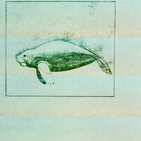 Mix 154 - Essential everchanging sensory environment by BrotherHexx