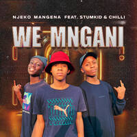 We Mngani (Ft. Stumkid &amp; Chilli) by Superior Hub