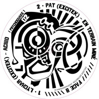 Lychar Excitek - Aciiid (Psychoquake 02 - Vinyl & Digital)- Available on Bandcamp by Psychoquake Records