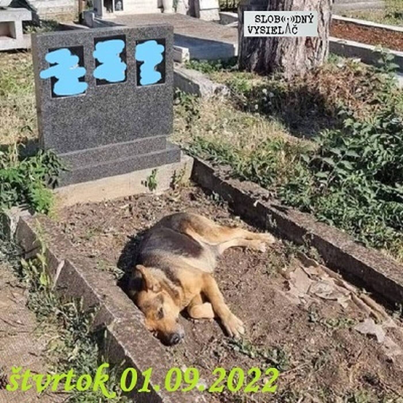Spirituálny kapitál 425 - 2022-09-01 „Sloboda od modiel“ episode artwork