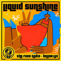 Checkster's Big Birthday House - Liquid Sunshine @ The Face Radio - Show #233 by Liquid Sunshine