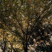 Ay Palas 01.09.2025 @ ApAcik Radyo by Ay Palas