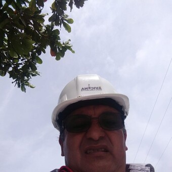 Ing Carlos Martin Ricaldi Jimenez