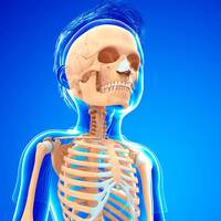 Bones Dub by Julien Girauld