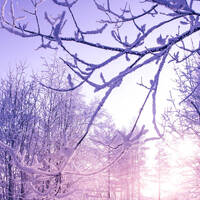 Female@Work - Feed Your Hunger 011 - 01.04.2017 - Featuring The Best Artists And Tracks by DJ Female@Work, FemaleAtWorkTranceDJ (Birgit Fienemann)