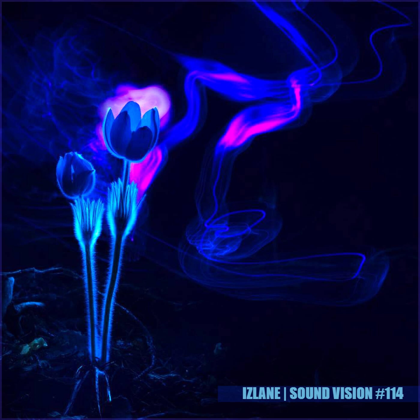 IzLane - Sound Vision #114 episode artwork