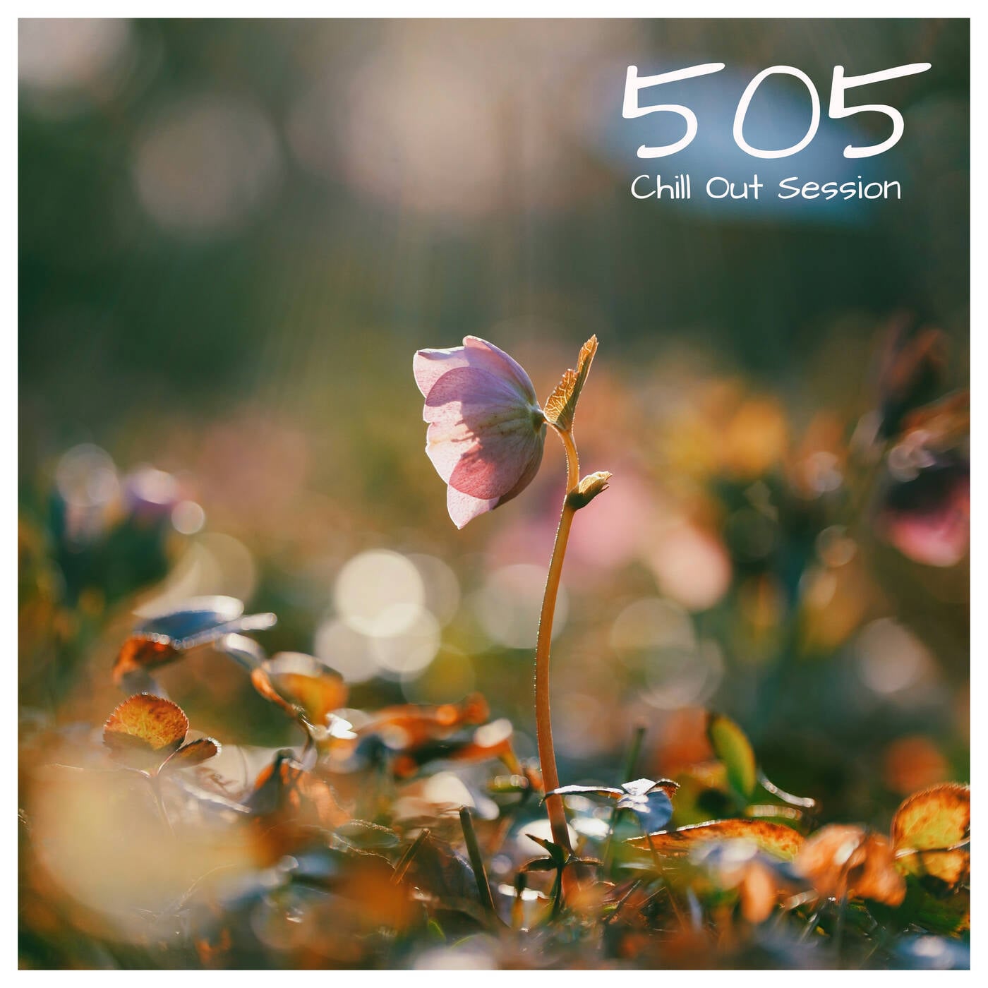 Play Zoltan Biro - Chill Out Session 505