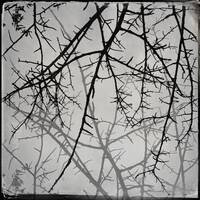 I just hope that somewhere, someone fills it. by SIRQBASS