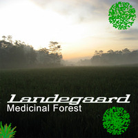 Landegaard - Medicinal Forest by Landegaard