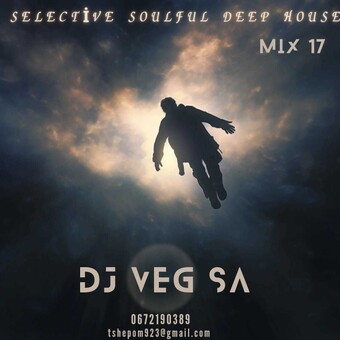 DJ VEG SA