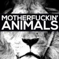 DJ Tomm - Beverly Hills Animals (Garrix vs. Faltermeyer) by DJ Tomm