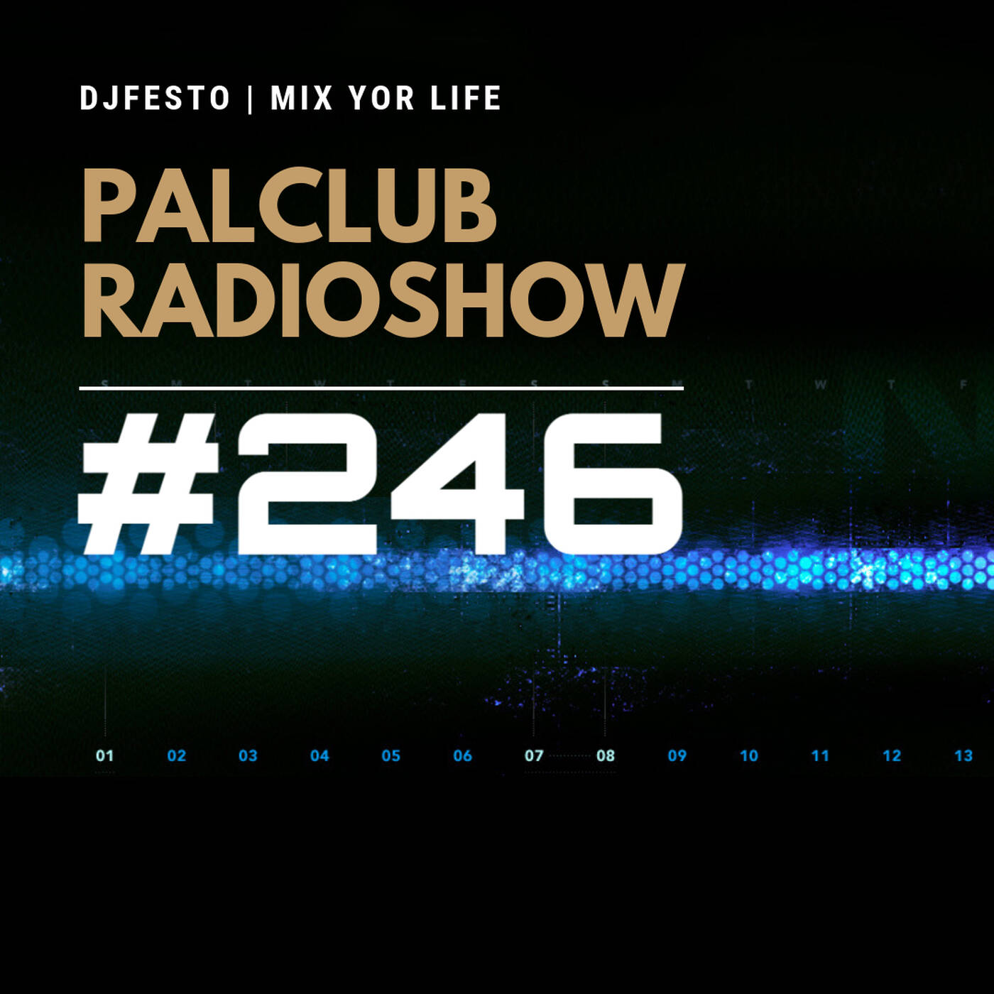 PALCLUB #246 - 24 OCAK Part2 - DJFESTO episode artwork